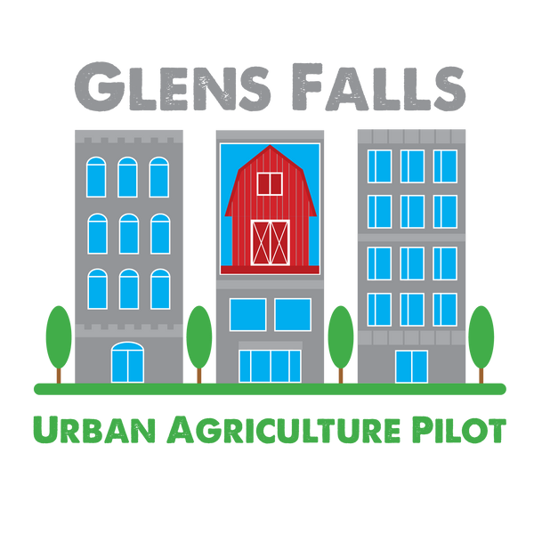 Urban Renewal Part IV – Our Glens Falls Urban Agriculture Pilot