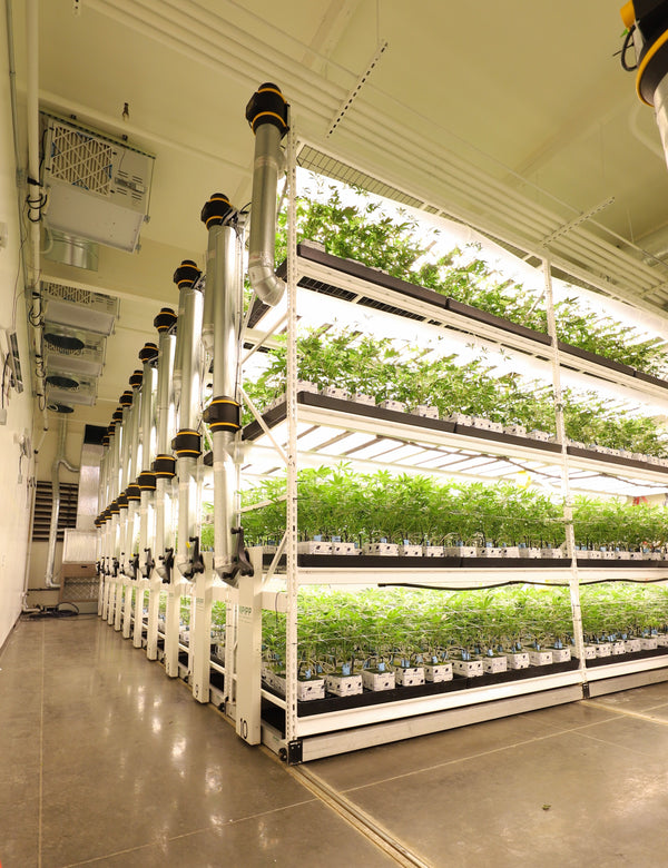 Insights from Glens Falls Vertical Farm: Thinking Through Indoor Growing Racking Systems