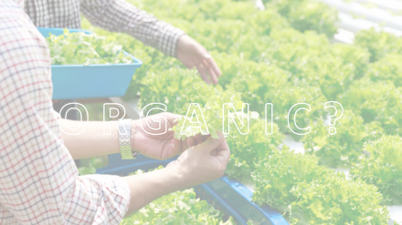 USDA Organic Certification, soil grown crops, hydroponic grown crops, organic