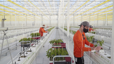 The US Indoor Farming Industry: A Current Snapshot