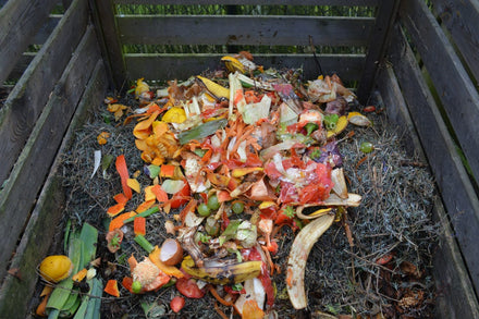 The Importance Of Standardized Raw Materials For Organic Hydroponic Nutrients – Part II: Kitchen Waste/Compost
