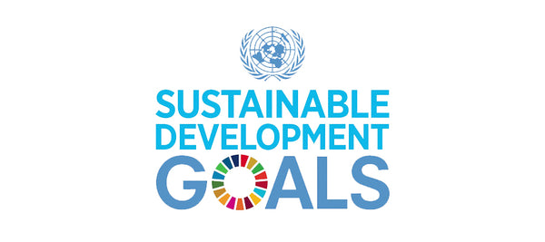 UN SDGs at Re-Nuble