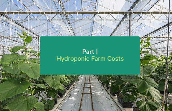 Hydroponic farm costs, Cropking's hydroponic business plan, soilless faming, hydroponic costs, lettuce, tomatoes