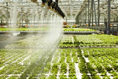 The Cost of Water and Why Indoor Farms Need Nutrient Cycling